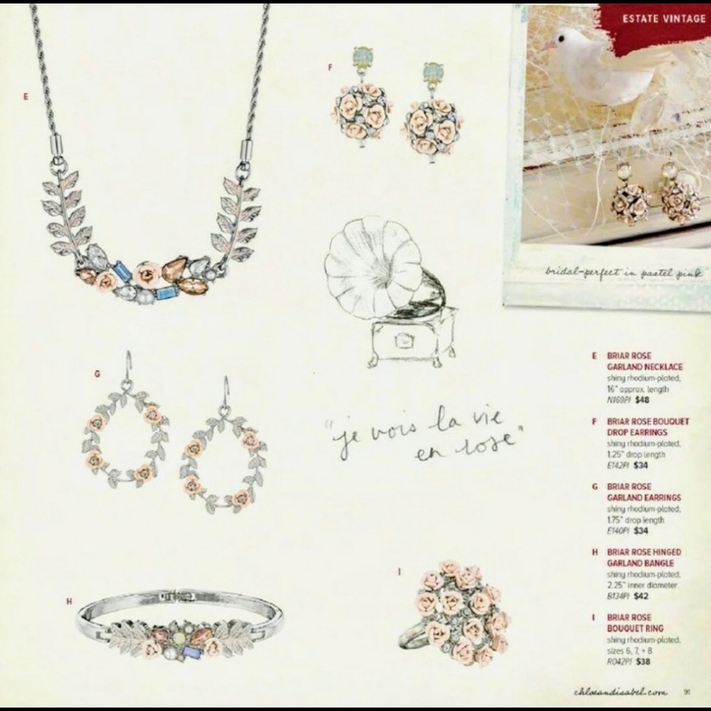 ‼️ ISO ‼️ Chloe + Isabel Briar Rose Items